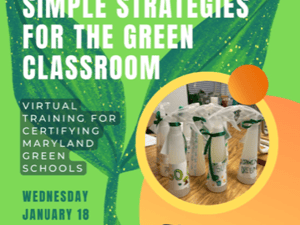 Strategies for the Green Classroom